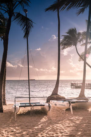 Caribbean sand beach with boats in Dominican Republicの写真素材