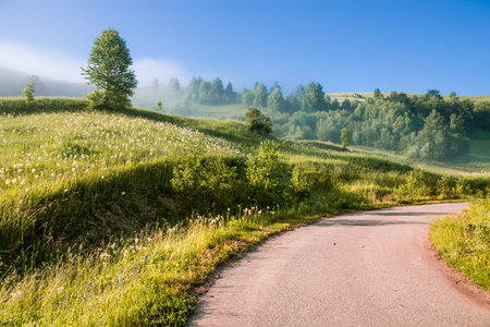 Misty morning in the Apuseni Mountains near Salciua, Romaniaの写真素材