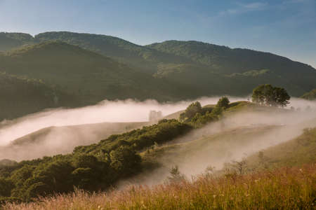 Misty morning in the Apuseni Mountains near Salciuaの写真素材