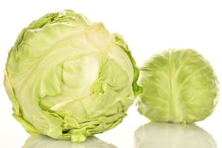 Fresh green cabbage on a white background.の写真素材