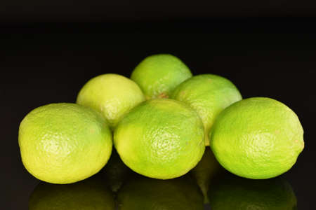 Several fresh ripe limes on a black background.の写真素材