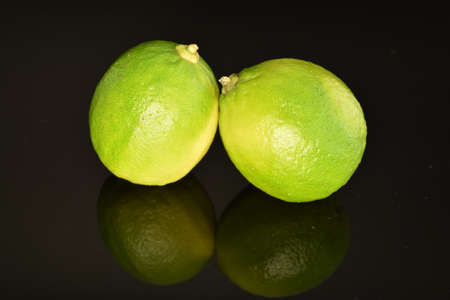 Two ripe bright green limes, close-up, on a black background.の写真素材