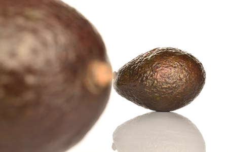 In the foreground, out of focus, Portion, dark green, ripe organic tasty avocado on a white background. In the background is one whole avocado in focus.の写真素材