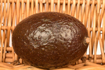 One whole dark green rounded ripe tasty nutritious avocado lies in a wicker vine basketの写真素材