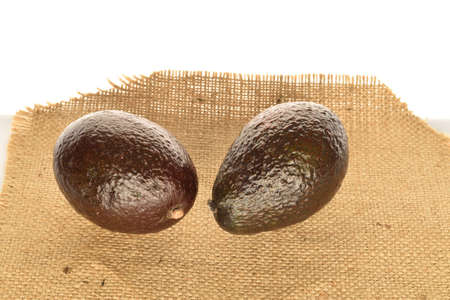 Two dark green, ripe fragrant tasty avocados, lies on jute fabric. The background is white.の写真素材