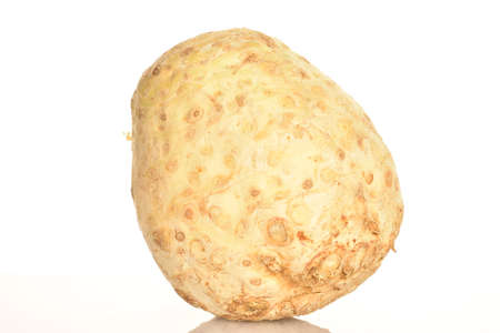 One ripe spicy juicy organic celery root, close-up, on a white background.の写真素材