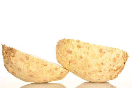 One ripe spicy juicy organic celery root on a white background.の写真素材