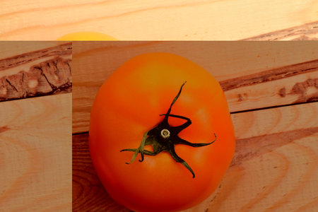 Fresh ripe, yellow tomatoes, close-up, on a wooden table.の写真素材