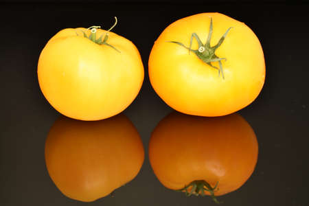 Fresh juicy yellow tomatoes, close-up, on a black background.の写真素材