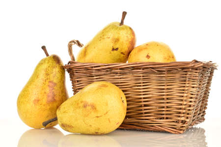 Ripe juicy, organic pears, close-up, on a white background.の写真素材