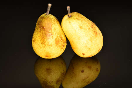 Ripe juicy, organic pears, close-up, on a black background.の写真素材