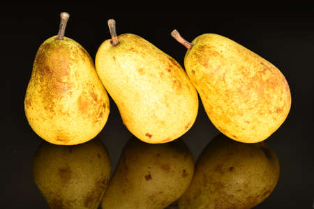 Ripe juicy, organic pears, close-up, on a black background.の写真素材