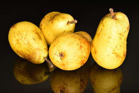 Ripe juicy, organic pears, close-up, on a black background.の写真素材