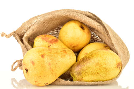 Ripe juicy pears, close-up, in a jute bag, on a white background.の写真素材