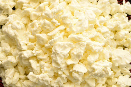 Fresh tasty, nutritious cottage cheese, close-up.の写真素材