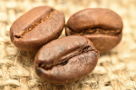 Fragrant roasted coffee grains, close-up, on jute fabric.の写真素材