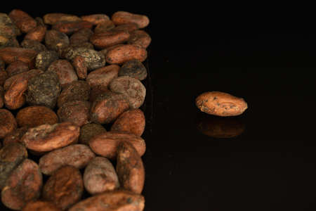 Organic, natural cocoa beans, close-up, on a black background.の写真素材
