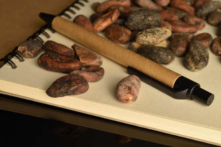 Organic, natural cocoa beans, close-up, on a black background.の写真素材