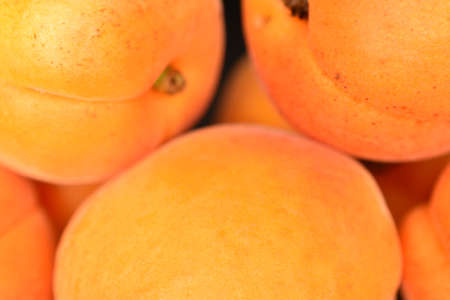 Bright yellow fresh, organic, ripe apricots, close-up, on a black background.の写真素材
