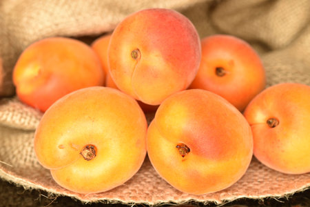 Bright yellow fresh, organic, ripe apricots, close-up, on a black background.