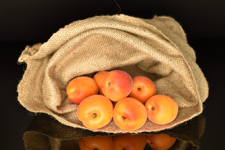 Bright yellow fresh, organic, ripe apricots, close-up, on a black background.の写真素材
