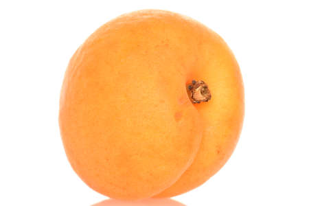 Bright yellow fresh, organic, ripe apricots, close-up, on a white background.の写真素材