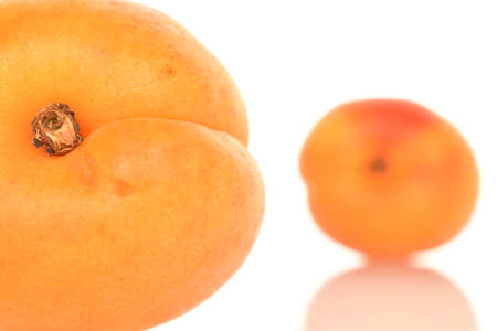 Bright yellow fresh, organic, ripe apricots, close-up, on a white background.の写真素材