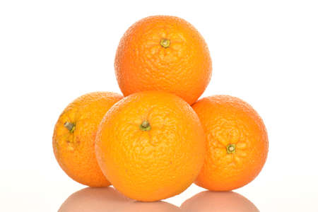 Bright yellow juicy, fresh, organic oranges, close-up, on a white background.の写真素材