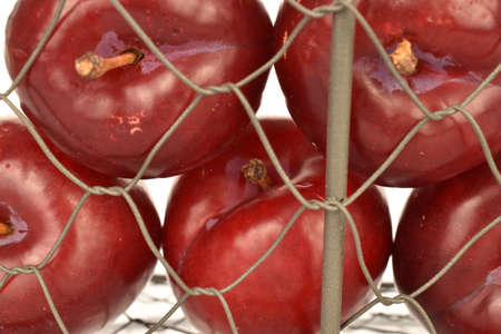 Juicy, tasty, organic red plum, close-up, on a white background.の写真素材