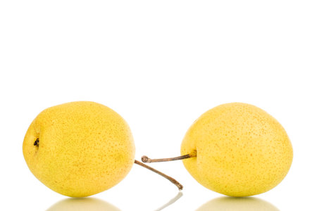 Organic bright yellow pears, close up.