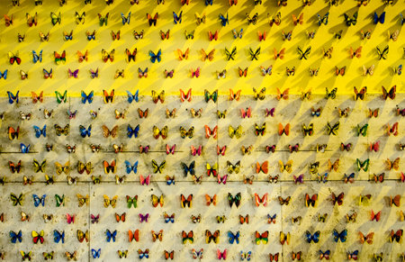 Wall filled with plastic butterflies in Trastevere, Romeの写真素材