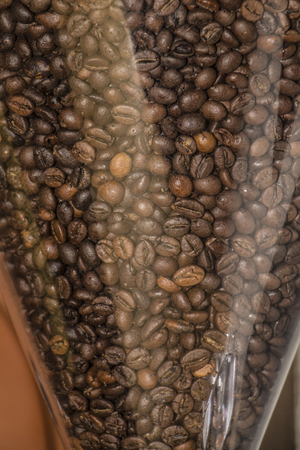 Brown coffee beansの写真素材