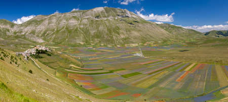 Castelluccio di Norcia, Italy - July 2020: lentil fields floweringの写真素材
