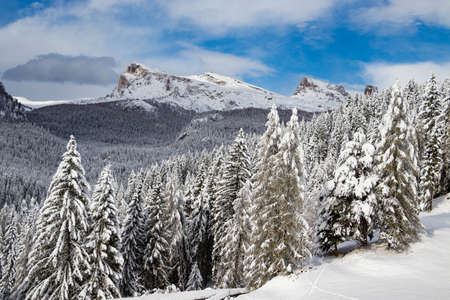 Winter panorama of trees covered with white snow near Cortina D'Ampezzo, Dolomites, Italyの写真素材