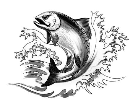 Jumping salmonの写真素材