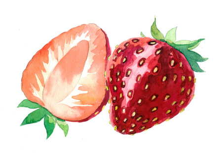 Watercolor strawberryの写真素材