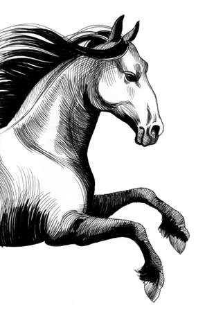 Ink horseの写真素材