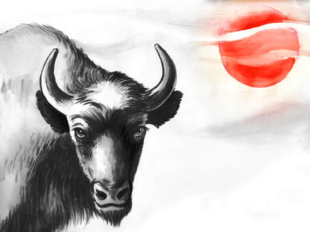 Bison and red sunの写真素材