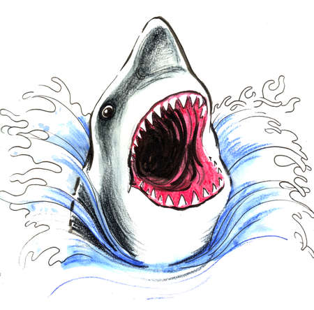 Shark in the waterの写真素材
