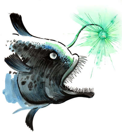 Deep water fishの写真素材