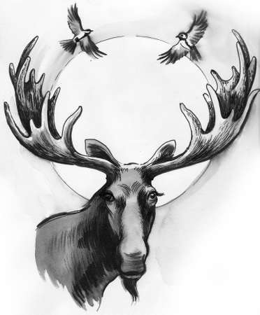 Moose and flying birds hand drawingの写真素材