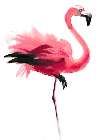 Watercolor flamingo.の写真素材