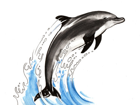 Jumping dolphine. Ink and watercolor illustrationの写真素材