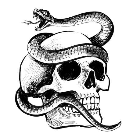 Human skull and poisonous snake. Ink black and white illustrationの写真素材