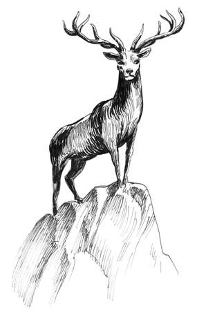 Deer standing on the rock. Ink black and white illustrationの写真素材