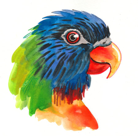 Parrot bird head. Ink and watercolor illustration