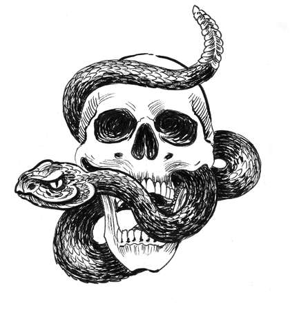 Skull with a rattle snake. Ink black and white drawingの写真素材