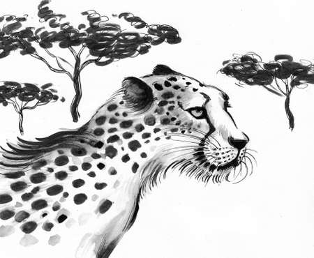 Cheetah animal in the African savannah. Ink black and white drawingの写真素材