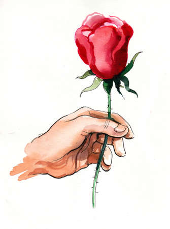 Hand holding a red rose flower. Ink and watercolor drawingの写真素材