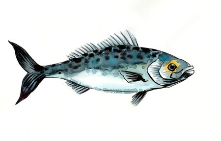 Sea fish. Ink and watercolor illustration